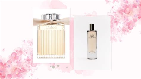 chloe dupe perfume|perfumes that smell like chloe.